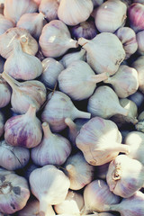garlic close up