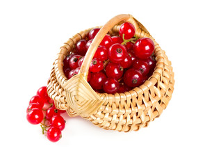 red currants in a basket over white