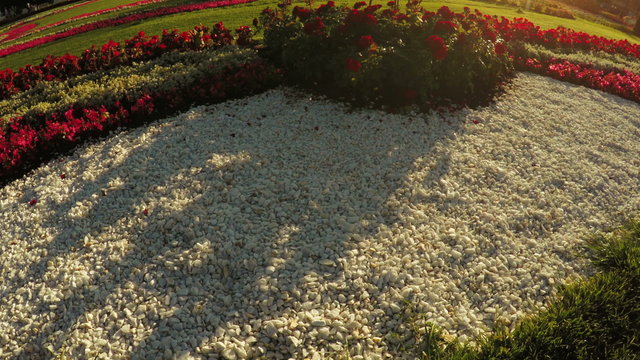 Flower Garden in city park