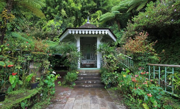 jardin de la maison folio &agrave; Hell Bourg, 974