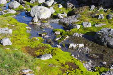 Stream in the tundra among the moss and stones
