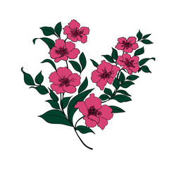 twig cherry blossoms