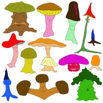 Colorful Mushrooms are different in shape and type. funny mushrooms of different structure, sentiments and forms