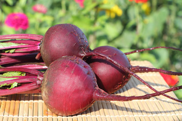 The claret beet lying on a table in a garden