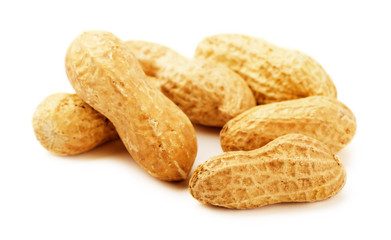 Dried peanuts