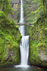 Fototapeta premium Multnomah Falls w Columbia River Gorge, Oregon, USA