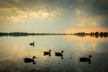 Naklejka premium papere sul lago al tramonto 