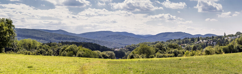 Panorama of the historical recreational area Steinhof in the 14th district of Vienna - Austria