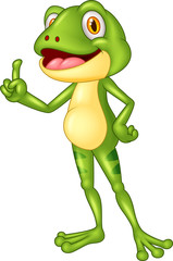Cartoon cute frog

