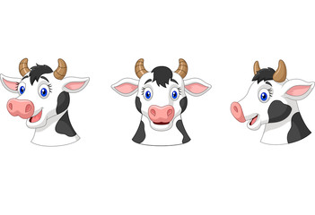 Collection head cow

