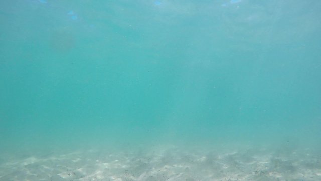 turquoise water in Sardinia sea