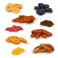 Dried fruit icons set