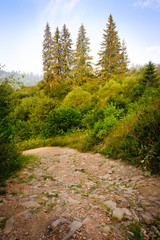 Fototapeta na wymiar A beautiful trekking path in the mountain.