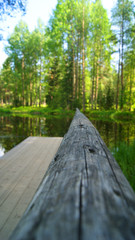 Obraz premium Пруд в музее