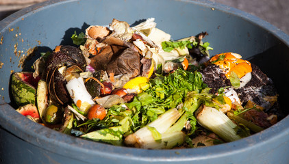 Trash can full of organic waste