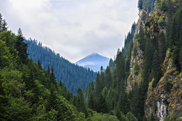 beautiful wild mountain landscape in the Carpathian Mountains, R