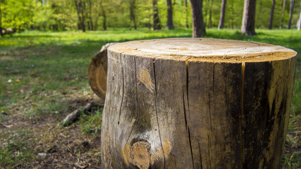 Fototapeta premium OLYMPUS DIGITAL CAMERA