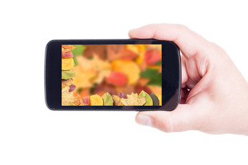 Colorful frame of autumn leaves on smartphone or mobile device