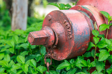 Red Fire Hydrant