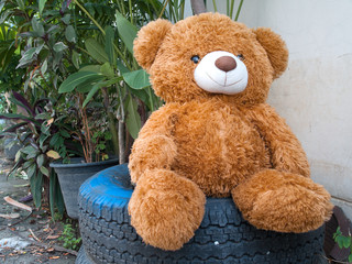 Teddy bear, brown