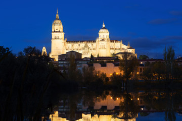 Fototapeta na wymiar Salamanca Cathedral from River in nigh