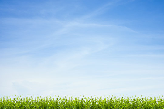 Grass grass under blue sky and clouds