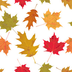 Colorful Tileable Autumn Leaves Illustration