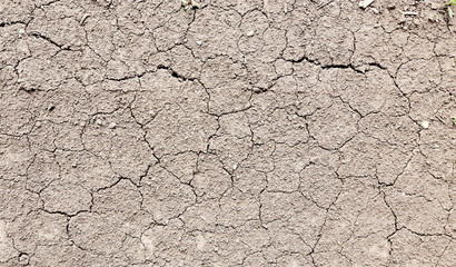 Cracked ground background