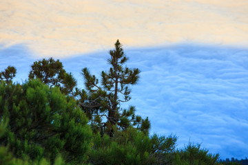 Aerial view over clouds above ocean water with last sunshine, Tenerife, Canary Islands, Spain