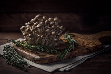 Braune Buchenpilze mit Rosmarin und Thymian auf rustikalem Holztisch.