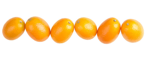 Six oval kumquats in a row closeup. Macro photo from above on white background.