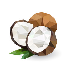 Vector illustration of a coconut