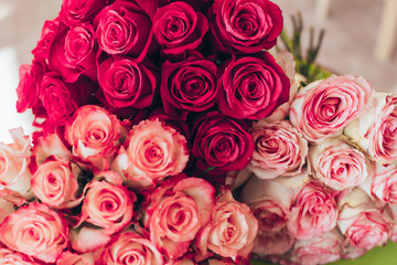 Bouquet of roses close up. Background.