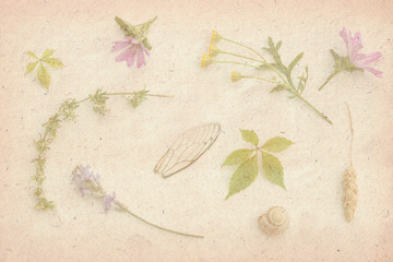 Sweet color, pastel tone, wild flowers with paper texture for the soft background.