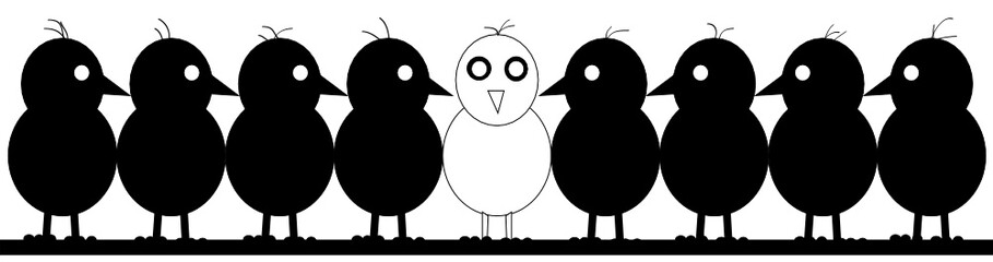 8 schwarze Vögel sitzen auf einer Leitung und starren einen weißen Einzelgänger in ihrer Mitte an