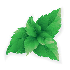 Mint leafs