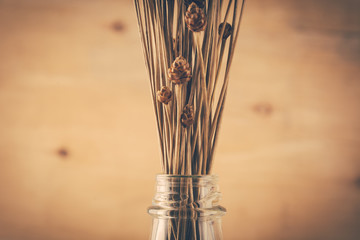 dry grass flower on wood background