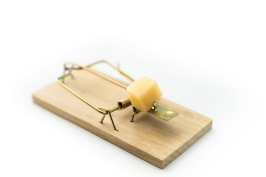 Mousetrap With Cheese