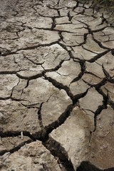 Sol fendu a cause de la sécheresse