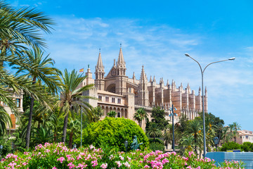 Palma de Mallorca, port marina Majorca Cathedral
