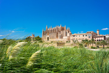 Palma de Mallorca, port marina Majorca Cathedral © engel.ac