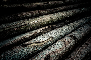 vignettiertes und dunkel bearbeites Bild eines Stapels von Fichtenbaumstämmen