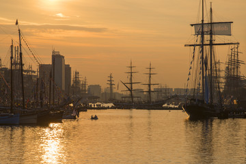Sail Amsterdam 2015