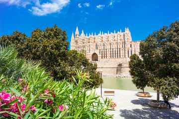 Palma de Mallorca, port marina Majorca Cathedral © engel.ac