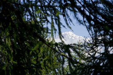 Obraz premium White mount - Italy