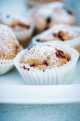 Vegane Fruchtmuffins mit Puderzucker