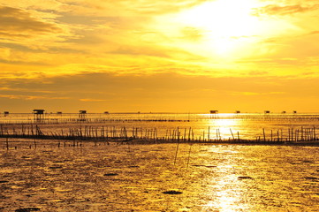 Fototapeta premium Seaside Landscape at Sunrise