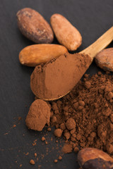 cacao beans and cacao powder in spoon