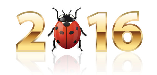 Fototapeta premium 2016_Coccinelle