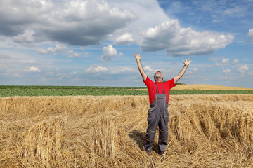 Agriculture, farmer gesture in damaged wheat field